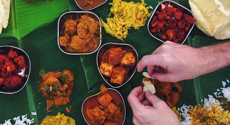 Discuter, cuisiner et dîner dans une belle maison indienne à Delhi Fournie par Roopak Agarwal