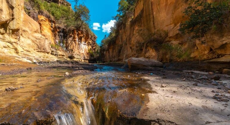 Excursão autêntica e divertida pelo Quénia Organizado por LIW TOURS