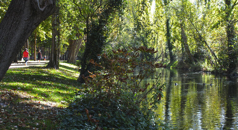 Ornithological Free Walking Tour, Spain