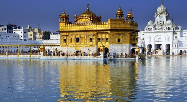 Besichtigung des Goldenen Tempels in Amritsar Bereitgestellt von Harpreet Singh