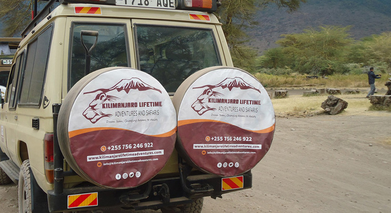 4 dias de safari de gama média na Tanzânia Organizado por Kilimanjaro Lifetime Adventures