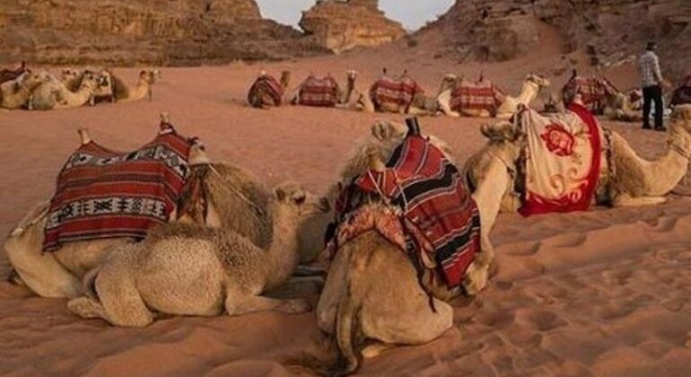 Super Safari Hurghada Fournie par Vacation Travel Services