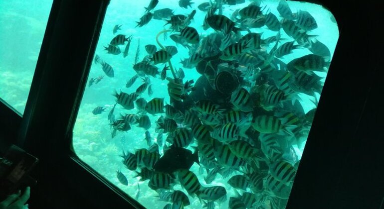 Semi-U-Boot Unterwasser-Tour Ägypten — #3