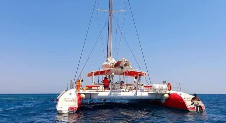 Catamaran Sailing Tour Egypt — #4