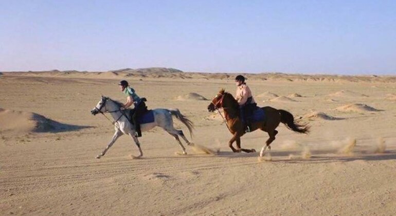 Paseos a caballo y en camello Egipto — #2