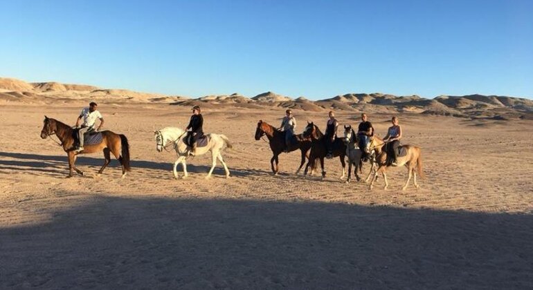 Horse & Camel Riding, Egypt