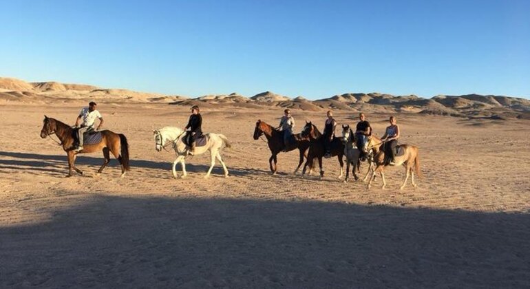 Paseos a caballo y en camello