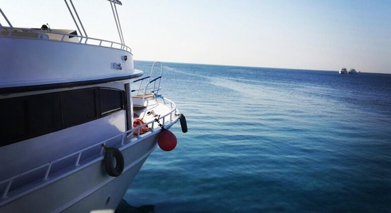 Dolphin World in Hurghada Egypt — #2