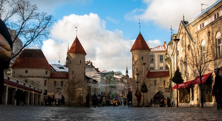 Visite à pied des légendes et du marché local de Tallinn Fournie par Anastassija