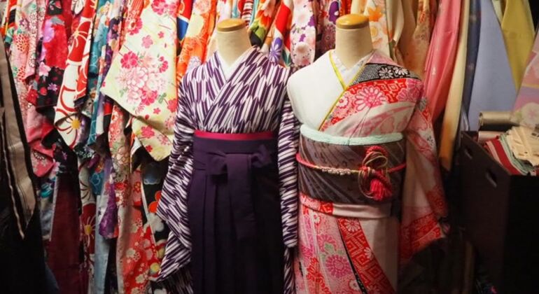 Kimono Tour in Kyoto, Japan