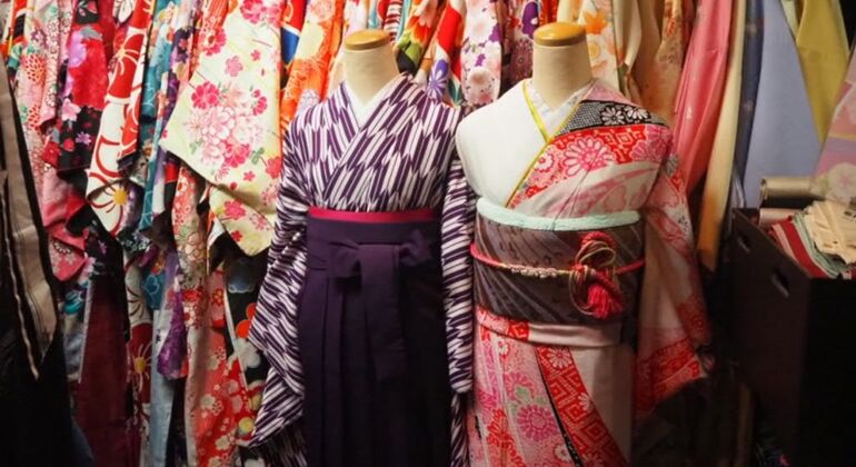 Tour de kimono à Kyoto