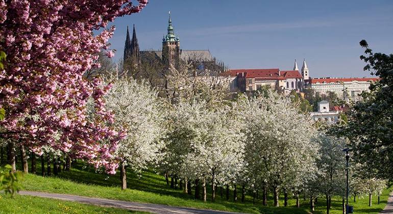 e-scooter-bike-rental-in-prague-es-15