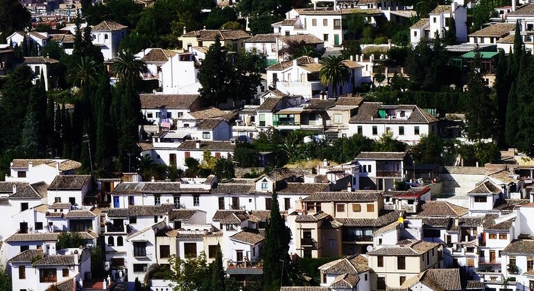 Tour privato Albaicin e Sacromonte