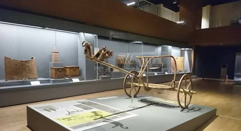 Gita di mezza giornata al Museo nazionale della civiltà egizia Egitto — #2