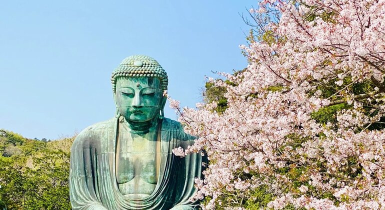 The Kamakura Full Day Tour