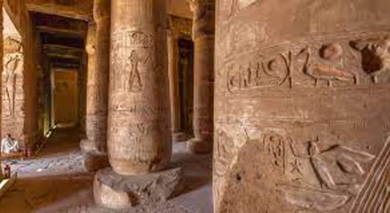 Dendara & Abydos-Tempel Privater Tagesausflug von Luxor Ägypten — #4