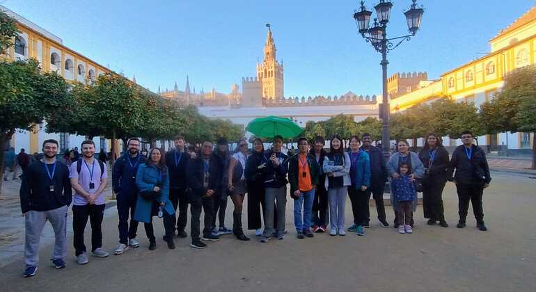 Tour gratuito del meglio di Siviglia Spagna — #6
