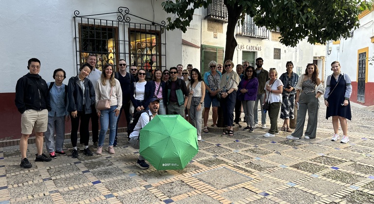 Tour gratuito del meglio di Siviglia Spagna — #8