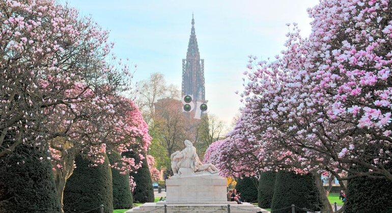 Visita livre ao Bairro Imperial, Parlamento Europeu e Guerras França — #6