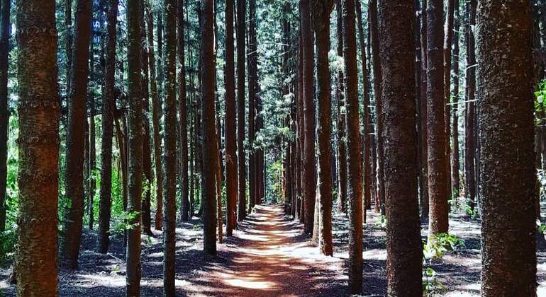 touch of nature bike trails