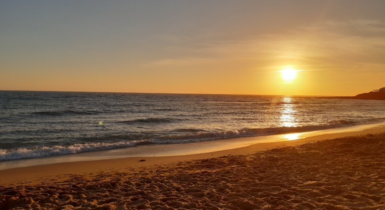 enjoy-malaga-en-4