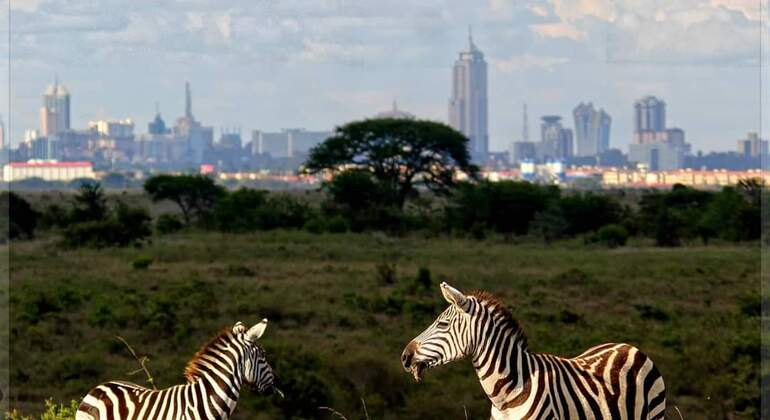 Safari nel parco nazionale di Nairobi