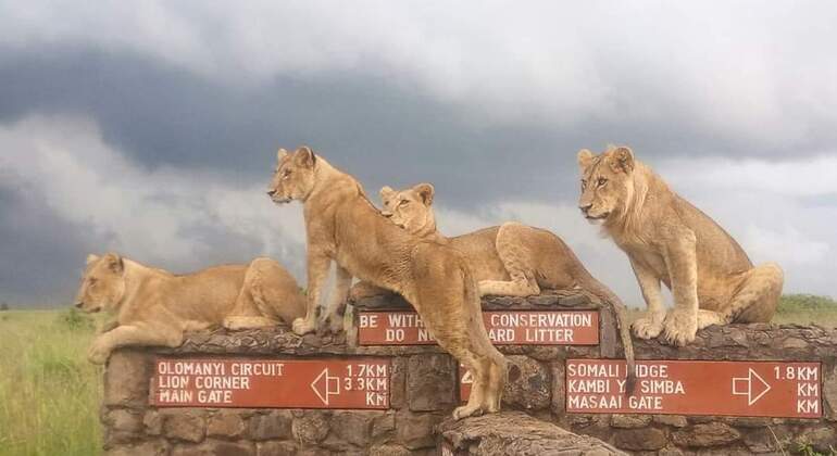 Nairobi National Park Bush Safari Kenya &mdash; #3