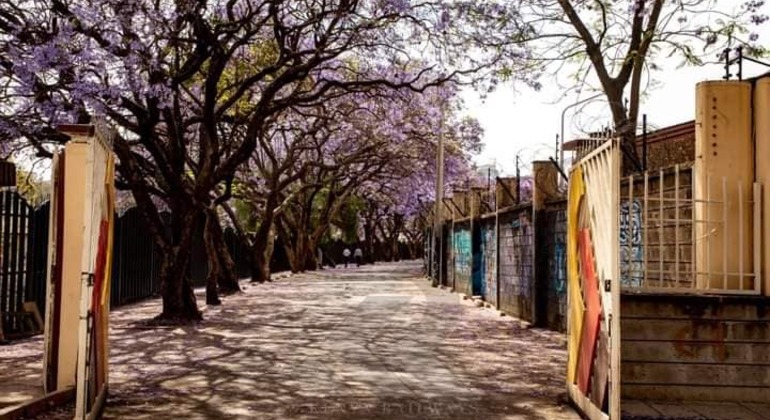 Nairobi Railway Museum Free Tour