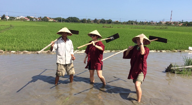 HoiAn Cultivo de arroz molhado e passeio de barco com cestos em pequenos grupos Organizado por Hung Le Travel -The Local Signature