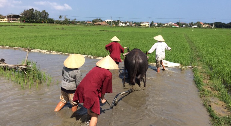 Hoi An Wet Rice Farming, Coffee Making Class, Basket Boat Tour Private Vietnam — #3