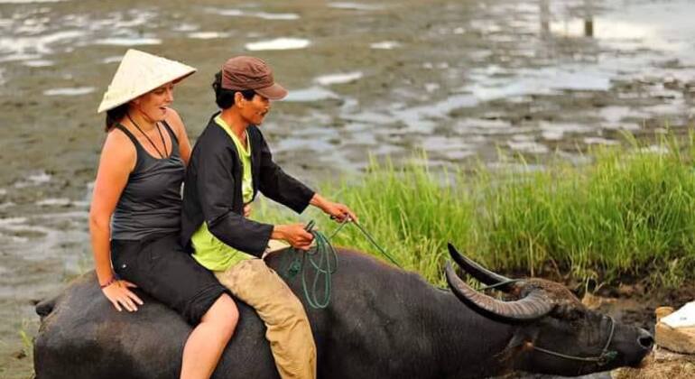 Hoi An Buffaloes Riding & Bamboo Basket Boat Tour with Lunch Provided by Hung Le Travel -Local Community Travel 