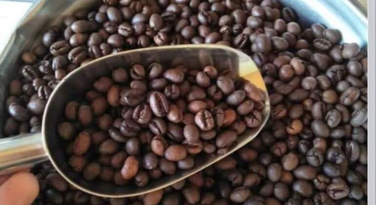 Hoi An, equitazione, lezione di produzione del caffè, giro in barca con cesto e pranzo Vietnam — #10