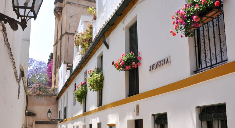 Visita gratuita ao bairro de Santa Cruz Espanha — #4