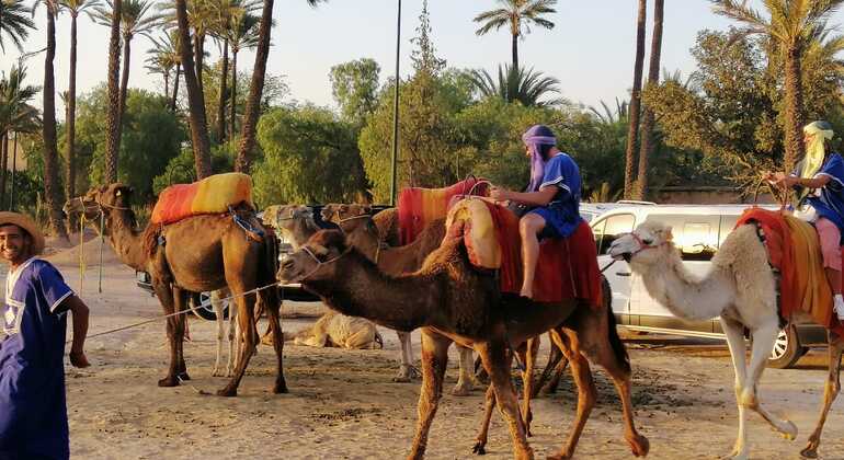 Kamelreiten in der Wüste von Marrakesch Bereitgestellt von Brahim DAOUD