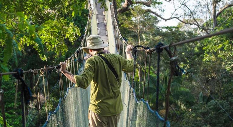 Puerto Maldonado: Aventura de tirolesa e caiaque na Ilha dos Macacos, Peru