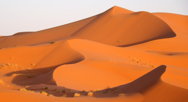 Atardecer en el Desierto de Merzouga en Camellos, Morocco