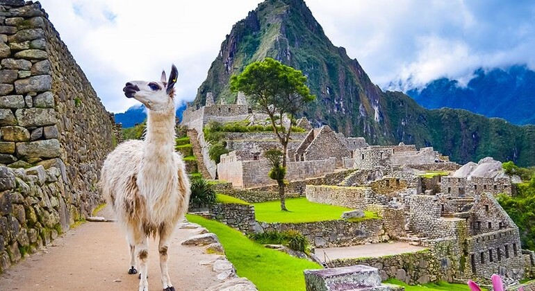 Machupicchu Dia Entero Operado por Good Trips Peru Tours & Travel