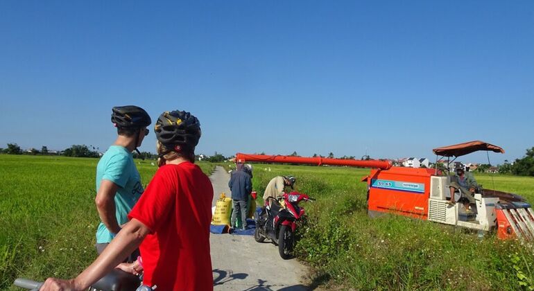 Hoi An rurale e cucina in fattoria biologica Vietnam — #10