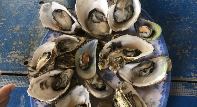Hai Van Pass-Lang Co Bay By Boat and Oyster Tasting and Local Lunch Vietnam &mdash; #2