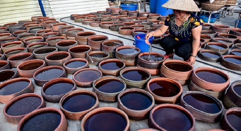 Hai Van Pass-Lang Co Bay By Boat and Oyster Tasting and Local Lunch Vietnam &mdash; #4