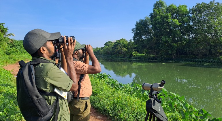 Naturspaziergang in den Vororten von Colombo