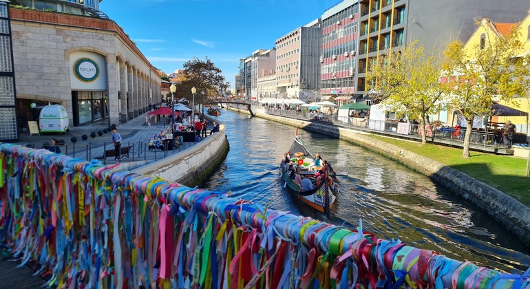 Tour gratuito del centro di Aveiro tutto in uno Fornito da Sergio Freire