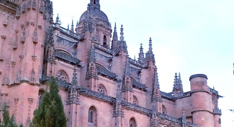 Free Tour Salamanca Indispensable