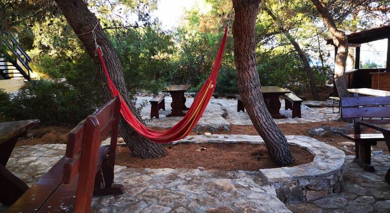 Blaue Lagune 3 Inseln Tour Kroatien — #3