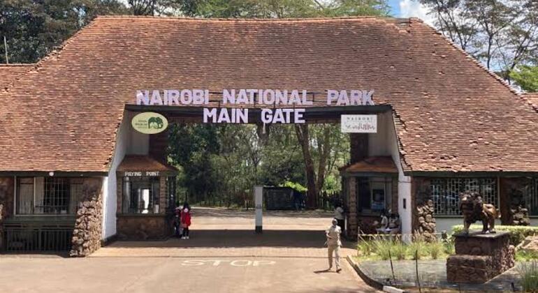 Tour Around the Nairobi National Park Provided by SANKHU TOURS & TRAVEL