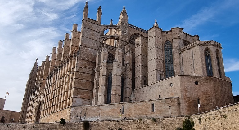 Tour gratuito delle Mura di Palma - Storia e curiosità Fornito da pedro sancho