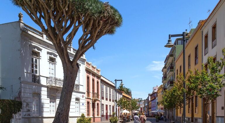 Free Walking Tour San Cristobal de La Laguna Spain — #5