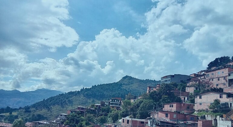 Medellín Free Walking Tour: City of Contrasts Colombia &mdash; #20