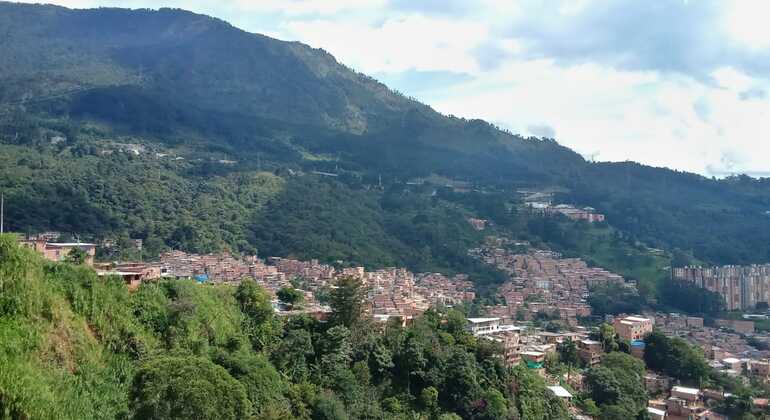 Medellín Free Walking Tour: City of Contrasts Colombia &mdash; #25