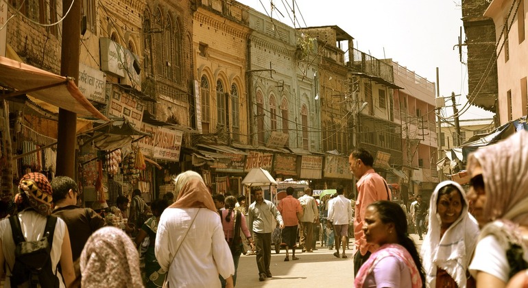 Historic Heartbeat Free Tour Old Delhi India &mdash; #3